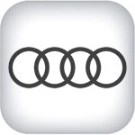 Авто товары для Audi